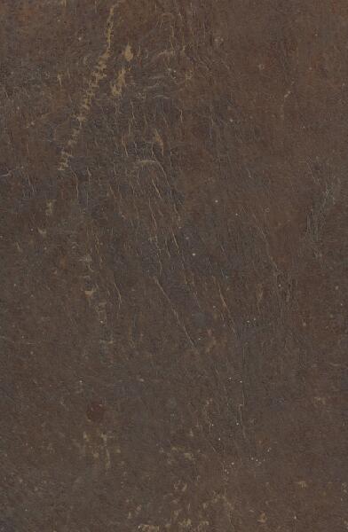 First page of The Social Harp