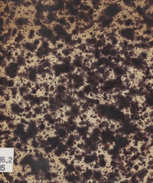 First page of Fresh Flowers