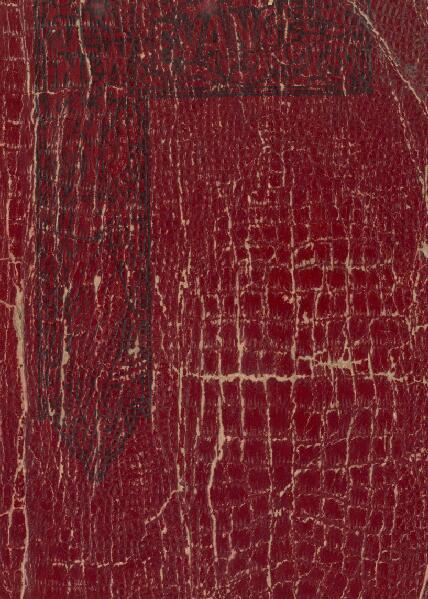 First page of The New Evangel