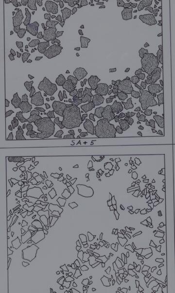 First page of SA+5; SB+5