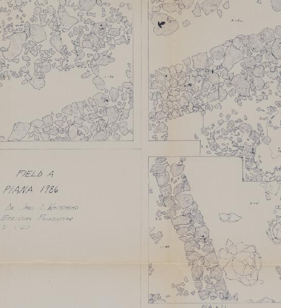 First page of Field A, La Piana
