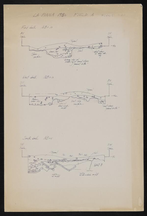 First page of La Piana Field A Sections