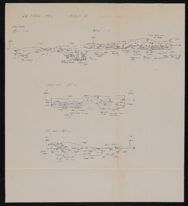 First page of La Piana Field A Sections (2)
