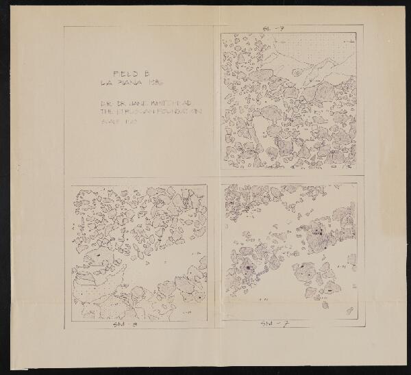 First page of Field B, La Piana