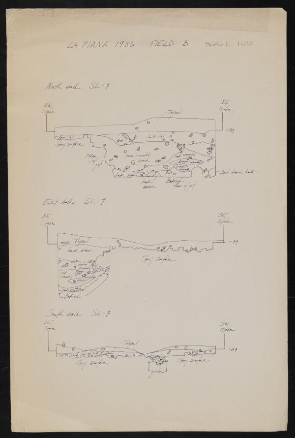 First page of La Piana Field B Sections