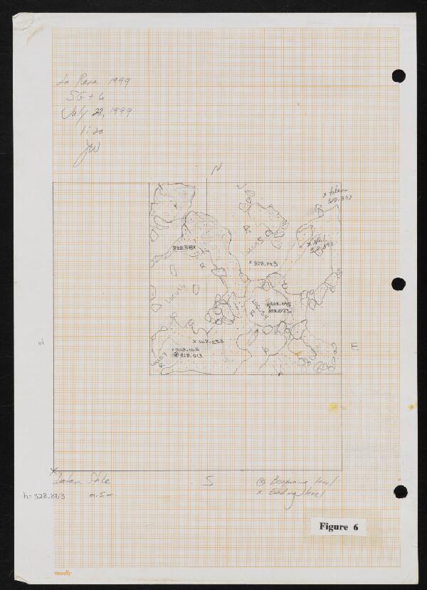 First page of La Piana 1999 SG+6